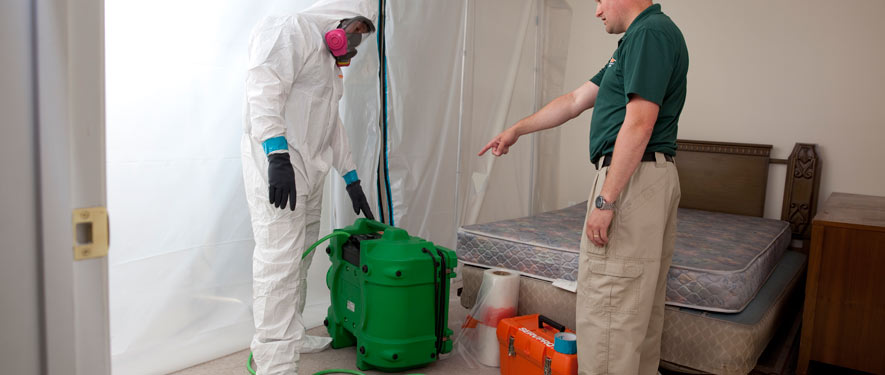 Simi Valley, CA mold removal process